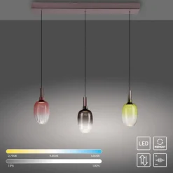 LED-Pendelleuchte Irides<JUST LIGHT.