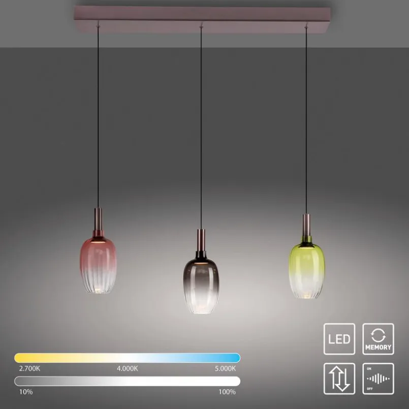 LED-Pendelleuchte Irides<JUST LIGHT.