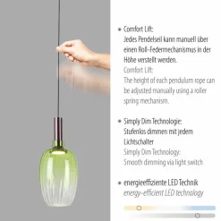 LED-Pendelleuchte Irides<JUST LIGHT.