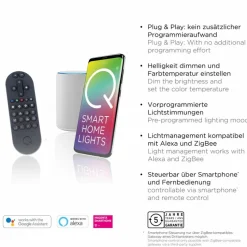 Pendelleuchten|Pendelleuchten|Q SMART HOME LIGHTS LED-Pendelleuchte Q-Swing Messing