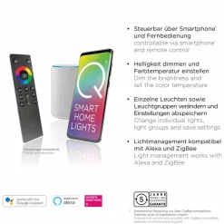Pendelleuchten|Pendelleuchten|Q SMART HOME LIGHTS LED-Pendelleuchte Q-Vito Messing