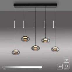 SCHÖNER WOHNEN-Kollektion Pendelleuchten-LED-Pendelleuchte Sia Schwarz