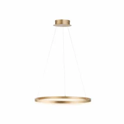 LED-Pendelleuchte Titus<Paul Neuhaus Clearance