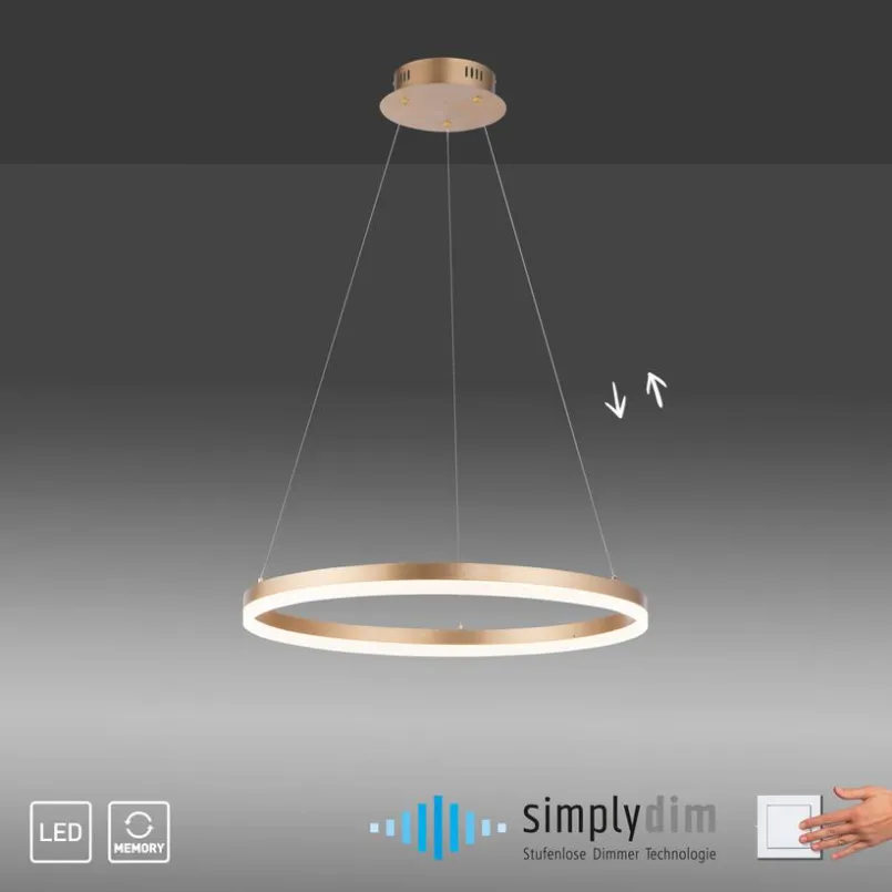 LED-Pendelleuchte Titus<Paul Neuhaus Clearance