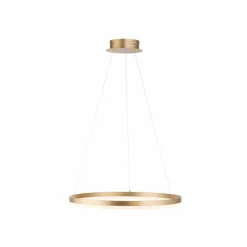 LED-Pendelleuchte Titus<Paul Neuhaus Clearance
