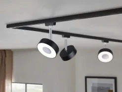 Schienensysteme|Paulmann LED-Strahler URail Circle Schwarz
