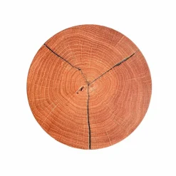 Wandleuchten|ELOBRA LED-Wandleuchte Havana Braun