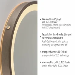 Paul Neuhaus Wandspiegel-LED-Wandspiegel Vidro Bronze