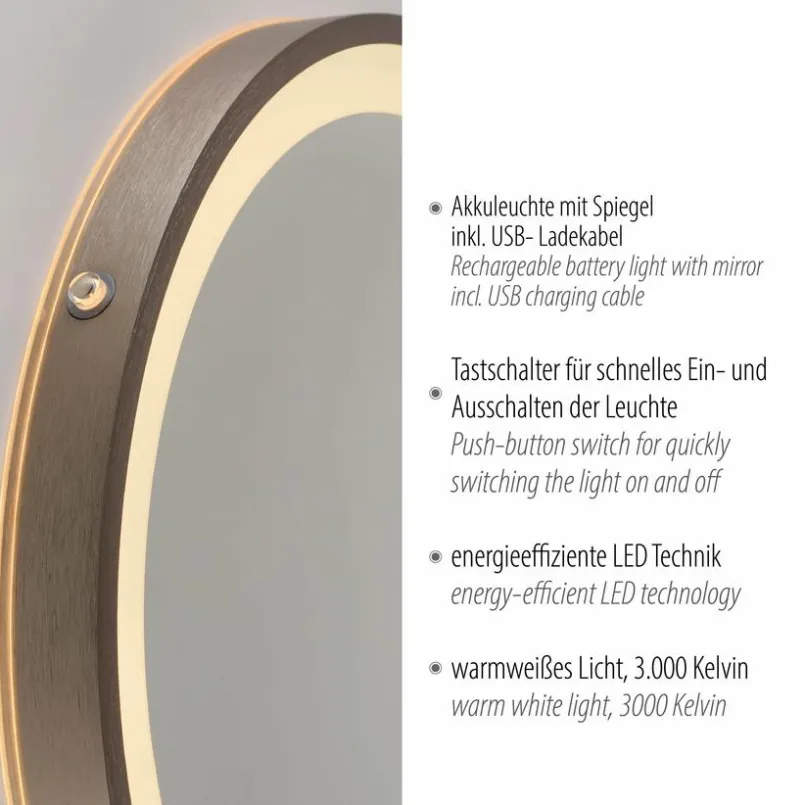 Paul Neuhaus Wandspiegel-LED-Wandspiegel Vidro Bronze