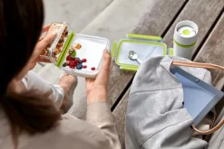 Lunchboxes|Vorratsdosen|emsa Lunchbox Clip&Go 600 ml Grün