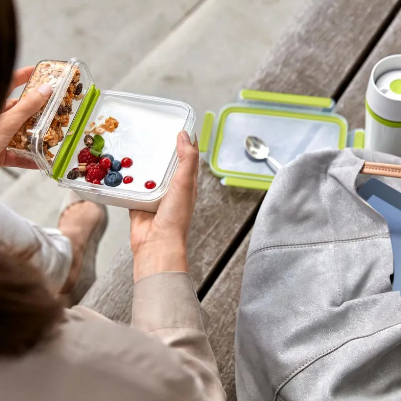 Lunchboxes|Vorratsdosen|emsa Lunchbox Clip&Go 600 ml Grün