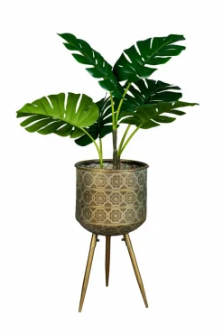 Pflanzenkübel & Blumentöpfe|Zuiver Pflanzkübel Botanique Gold