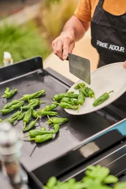 Plancha Premium Gas Plancha 60<Forge Adour Online