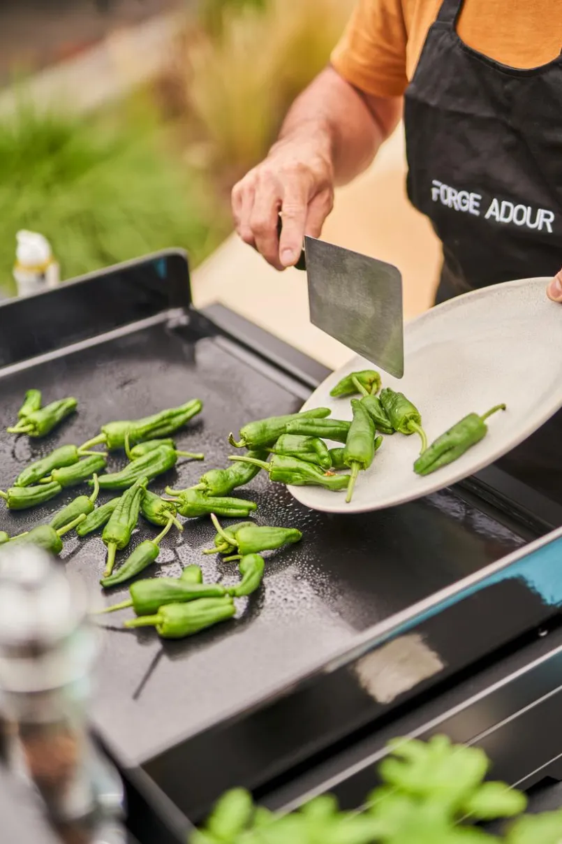 Plancha Premium Gas Plancha 60<Forge Adour Online