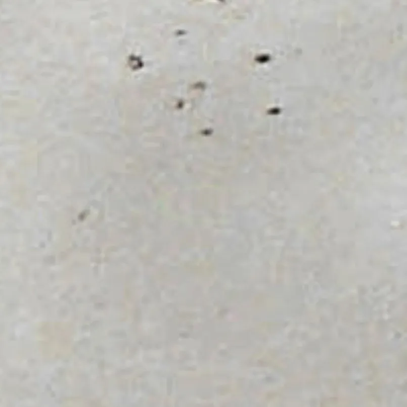 Platte Nature Collection 16,5x33 cm<CreaTable New