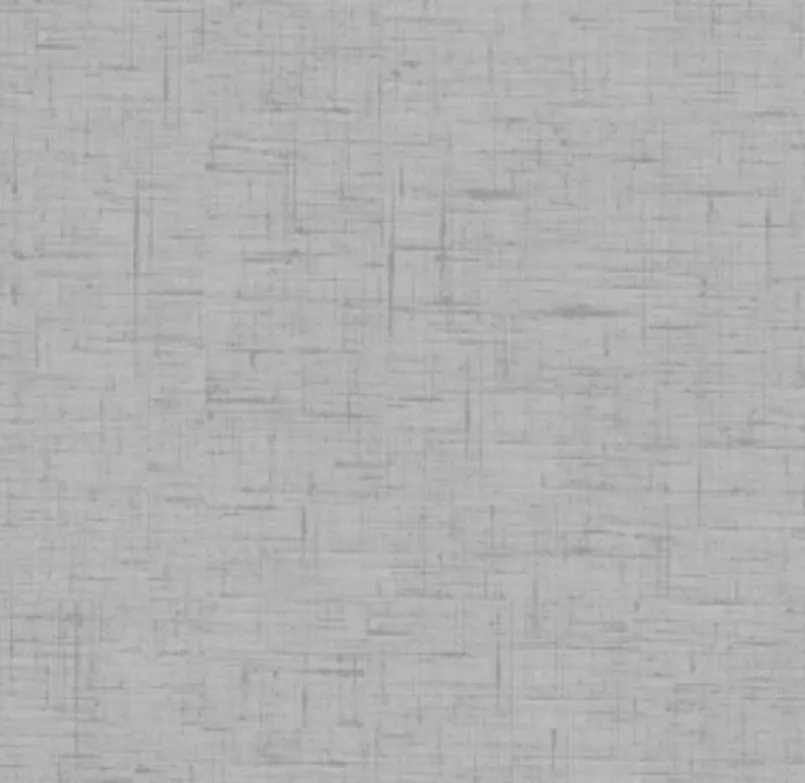 Schiebevorhang Pive 60 x 260 cm<Schmidt Sale