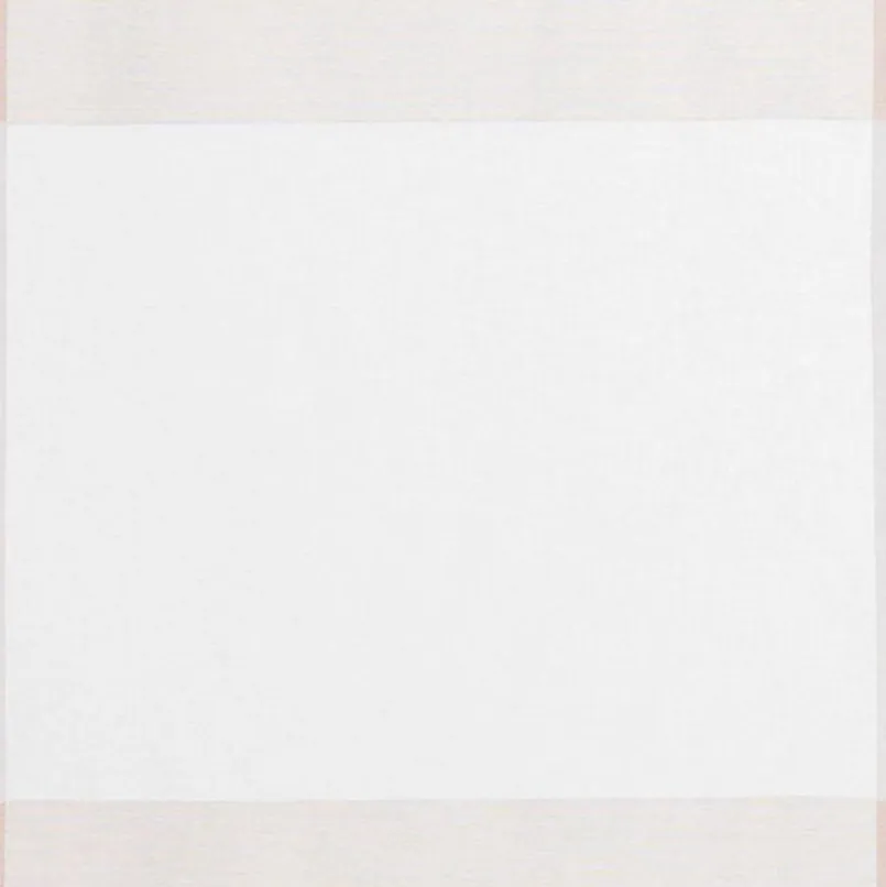 Gözze Vorhänge & Gardinen-Schiebevorhang La Paz 60 x 245 cm Creme