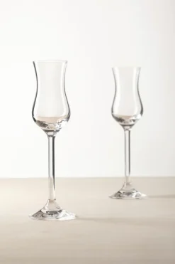 Gläser|Leonardo Schnapsglas Daily 100 ml Klar