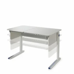 Schreibtisch Champion<Moll Discount