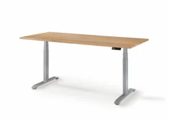 Schreibtisch elektrisch Durable Office 120 x 80 cm<Gradel Online