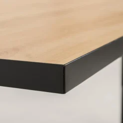 Schreibtische|Rudolf Schreibtisch NEWwork Eiche Artisan