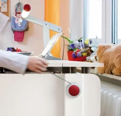 Moll Kinder- & Jugendschreibtische|Kinder- & Jugendschreibtische-Schreibtisch Winner Comfort Weiß