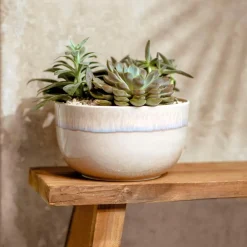 Schalen & Schüsseln|Schalen & Schüsseln|like. by Villeroy & Boch Schüssel Perlemor Sand Ø 22,4 cm Beige