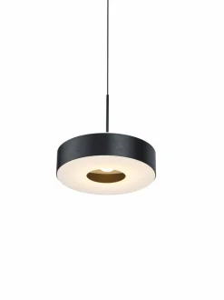 Pendelleuchten|Hell SEGMÜLLER | Möbelhaus & Onlineshop Grau