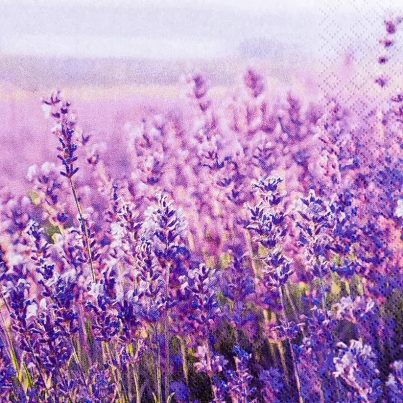 Tischwäsche|Tischwäsche| Serviette Field of Lavender 20tlg. Lila
