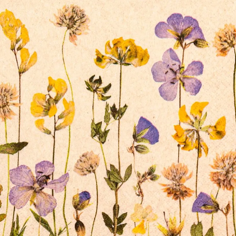 Tischwäsche|Tischwäsche-Serviette Pressed Flowers 20tlg. Bunt