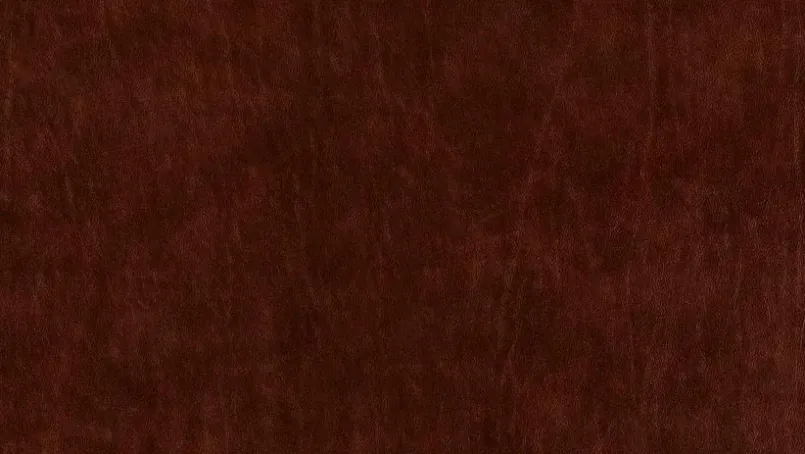 Sessel 14820 giuudita<Willi Schillig Outlet