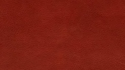 KOINOR Sessel-Sessel Jala Reno