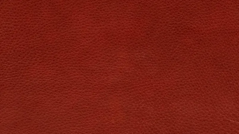 KOINOR Sessel-Sessel Jala Reno