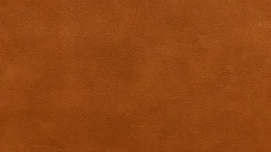 Sessel Jesro<KOINOR Online