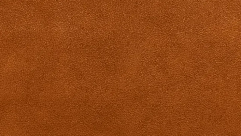 Sessel Jesro<KOINOR Online