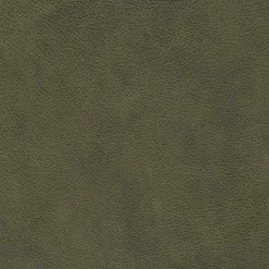 Comfort REPUBLIC Sessel-Sessel Rufus Olive