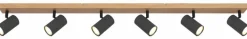 Spots & Strahle|Globo Strahler Robby Graphit