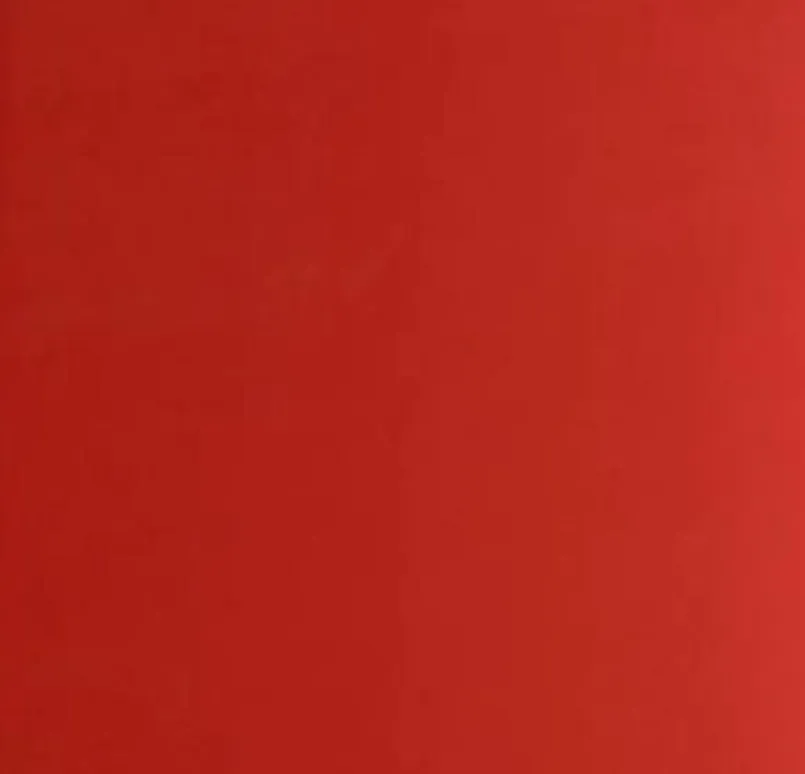 Rotho Entsorgen & Recyclen|Entsorgen & Recyclen-Treteimer Paso 40l Rot