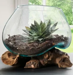 Vasen|Vasen-Vase Dekowurzel Transparent