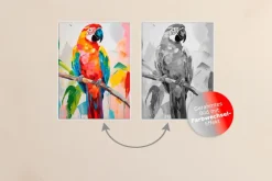 Wandbild 60 x 80 cm Colourful Par<EUROART Outlet