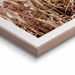 Wandbild 50 x 50 cm Dune Beach<Reinders Outlet