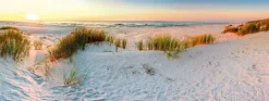 Bilder Nach Themen|EUROART Wandbild 80 x 30 cm Dunes Beige
