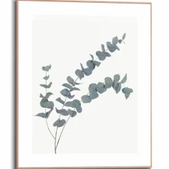 Wandbild 40 x 50 cm Eucalyptus<Reinders Sale