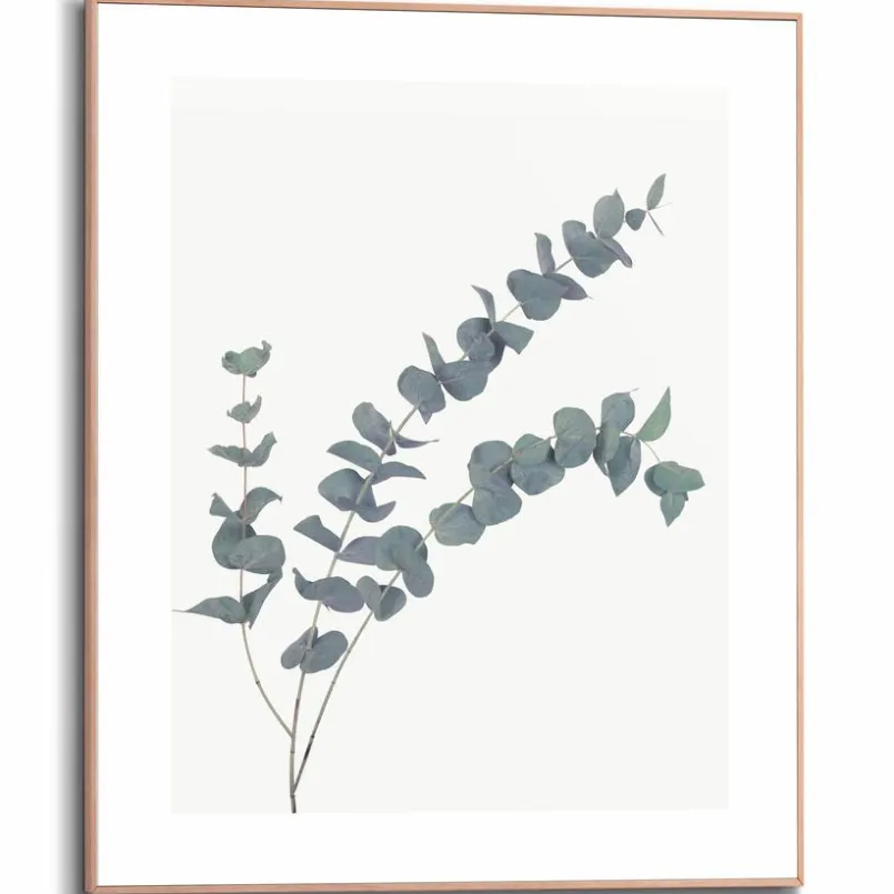 Wandbild 40 x 50 cm Eucalyptus<Reinders Sale