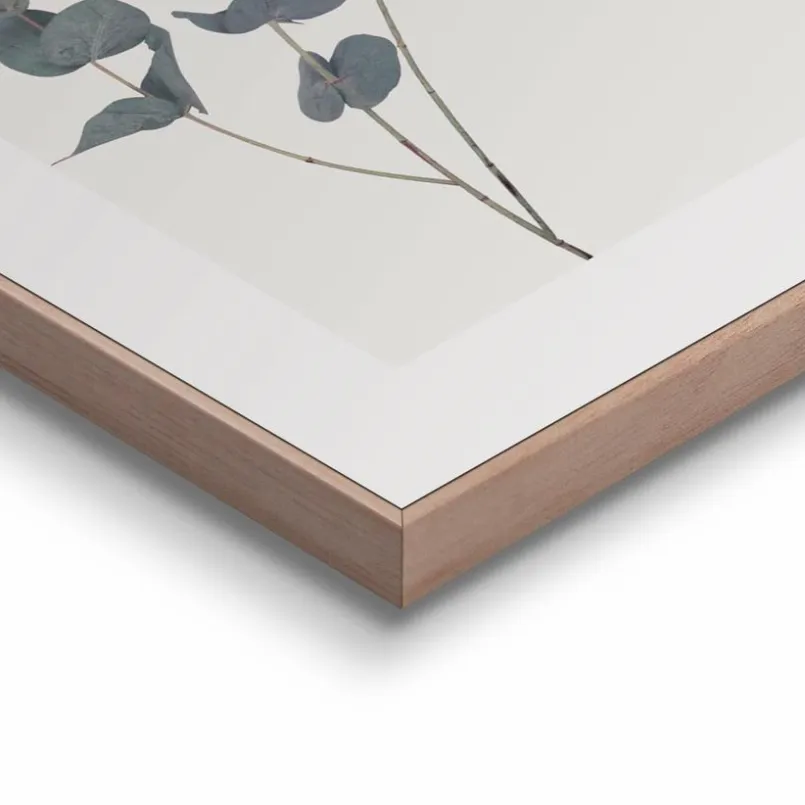 Wandbild 40 x 50 cm Eucalyptus<Reinders Sale