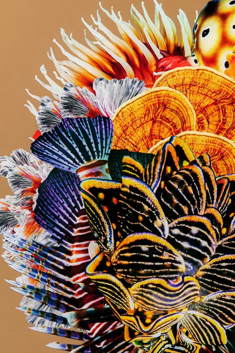 Bilder Mit Rahmen|Bilder Nach Themen|KARE DESIGN Wandbild 120 x 120 cm Flower Hair 55422 Bunt