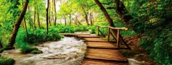 Wandbild 30 x 80 cm Footbridge in the forest<EUROART New