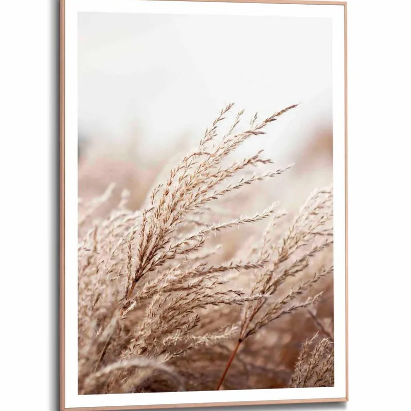 Bilder Mit Rahmen|Bilder Nach Themen|Reinders Wandbild 50 x 70 cm Gräser Beige