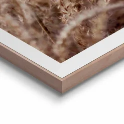 Bilder Mit Rahmen|Bilder Nach Themen|Reinders Wandbild 50 x 70 cm Gräser Beige