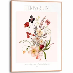 Bilder Mit Rahmen|Reinders Wandbild 30 x 40 cm Herbarium Bunt